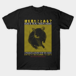 Have You Seen This Rat? T-Shirt